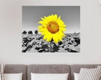 Sunflower Black White Photography - Wall Decor - Fine Art Photography Floral Print Garden Flowers Summer Beautiful