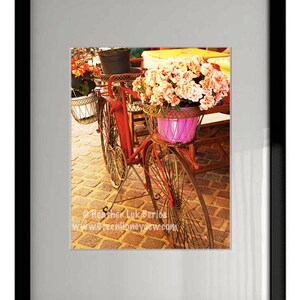 Bicycle Flowerpots - Wall Decor - Fine Art Photography Print, Pink, Red, Yellow, Orange