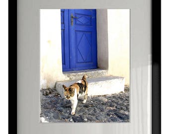 Greece Photography - Cat Blue Door - Santorini - Wall Decor - Mediterranean Fine Art Print