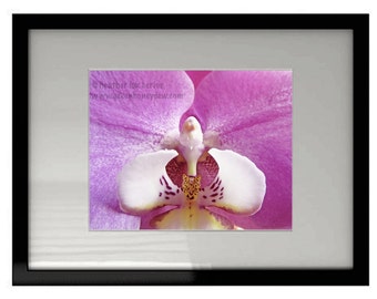 Purple Orchid - Wall Decor - Fine Art Photography Print, Floral, Flower Photography