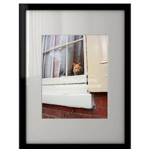 Cat In The Window - Wall Decor - Fine Art Photography Print - White Red Bricks