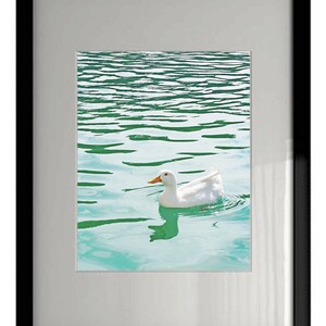Duck - Wall Decor - Fine Art Photography Print - Blue, Teal, Aqua, Water, White