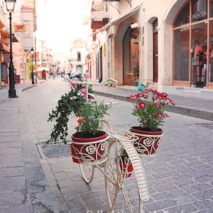 White Bicycle Flowerpot Photography 8x10 - Wall Decor - Fine Art Photography Print - Greece, European