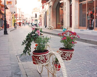 White Bicycle Flowerpot Photography 8x10 - Wall Decor - Fine Art Photography Print - Greece, European