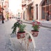 see more listings in the Greece Photography section