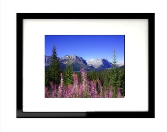 Canadian Rockies - Banff Alberta Hector Lake Wall Decor - Canada Fine Art Landscape Photography Print