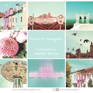 May include: A collage of colorful images featuring a carousel, flowers, buildings, and a sign that reads "Live Colorfully". The text "House of Honeydew" and "Photography by Heather Berios" are also included.
