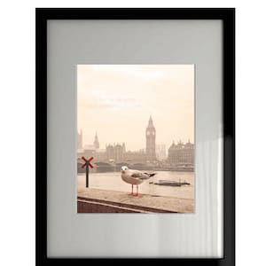 London Photography - Wall Decor - Fine Art Photography Print - Big Ben, River Thames, Seagull, Tower Bridge