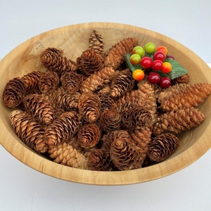 Hand-painted Glitter Pine Cones-decorations, Bowl Filler