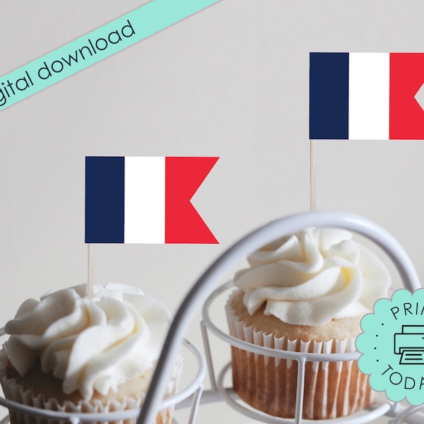 DIY Banner Printable French Flag Bunting Garland Party Decorations United Nations Countries World Cupcake Toppers France Bakery DOWNLOAD