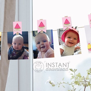 DIY Printable Banner Watermelon Party Decorations Monthly Numbers Photo Display Pink Girl Summer Melon Birthday Baby Nursery Wall DOWNLOAD