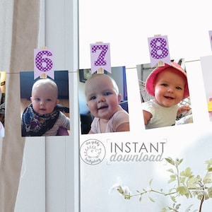 Printable DIY 0-12 Month Clothespin Photo Decorations, Purple Monthly Baby Photo Display, Baby Shower, Girl&#39;s 1st Birthday, Instant Download