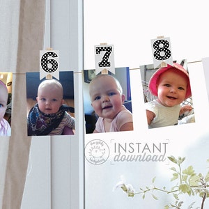 Printable DIY 0-12 Month Clothespin Photo Decorations Gray Black White Monthly Baby Photo Display Baby Shower Girl&#39;s 1st Birthday Download