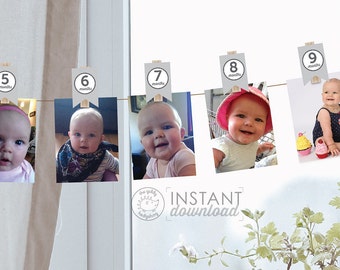 Printable DIY 0-12 Month Clothespin Photo Decorations Gray Grey Monthly Baby Photo Display Girl's 1st First Year Photos Birthday Download