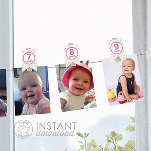 Printable DIY Sprinkles 0-12 Month Clothespin Photo Decorations Pink Monthly Baby Photo Display Baby Sprinkle Girl&#39;s 1st Birthday Download