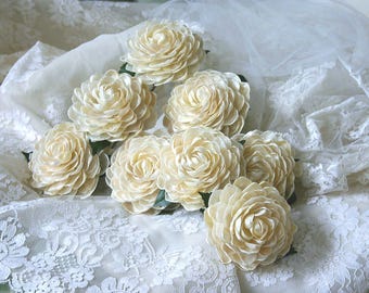 Jingle Shell Rose