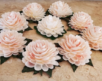 Water Lily Seashell Flower