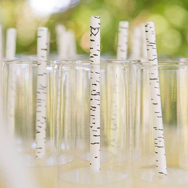 Birch Paper Straws Etsy
