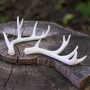 Miniature Faux Antler Stationery Card Holders 6 Pieces image 2