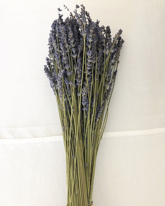 Dried Lavender 50 Stems - Dried Flowers - DIY Flowers - DIY Crafts