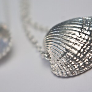 Peut inclure: Un collier en argent avec un pendentif en forme de coquillage détaillé. Le pendentif est une représentation réaliste d'un coquillage avec des crêtes et des textures complexes.