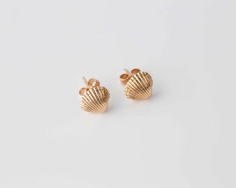 Cockle shell stud earrings - gold plated