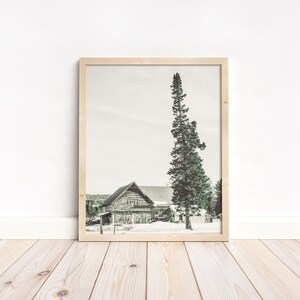 A Tree and a Barn I Rural Photography I Michigan Leelanau County