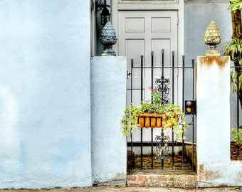 A Garden Gate I Charleston South Carolina Photography