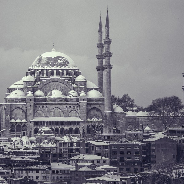 Winter In Istanbul in Black and White I Turkey Photography I Mosque Photography