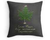 Silver Maple Leaf Pillow Cover, Green Leaves Pillow, Nature Pillow Cover, Scientific Pillow, Nature Lover Gift, Botanist Gift, Science Lover