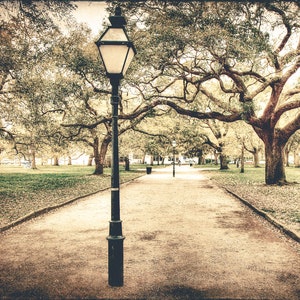 Battery Park Path I Charleston South Carolina Photography