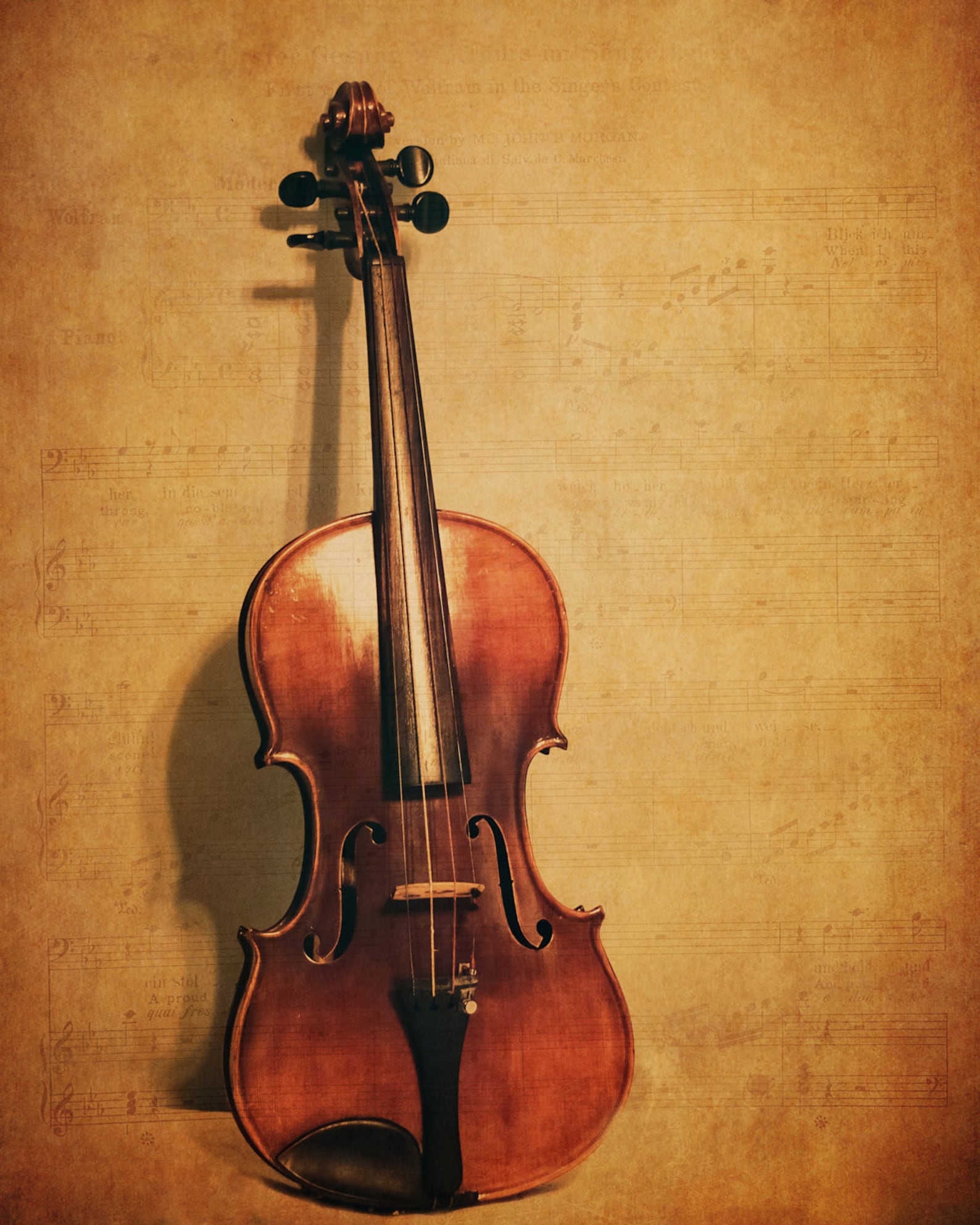 Виолончель фото рисунок