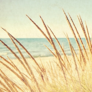 Beach Breezes I Lake Michigan Photography I Holland Michigan