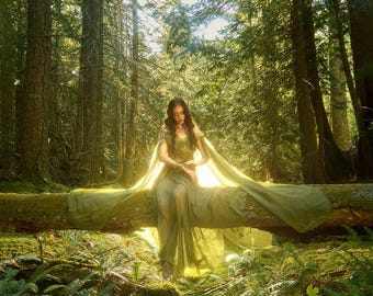 Woodland Whisper print