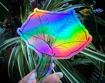 Datura Holographic Sticker, Plantas Venenosas, Sagrado, Arte Brujo, Flores, Pegatina De Vinilo, Wrightii, Innoxia, Bruja Verde, Alucinógeno