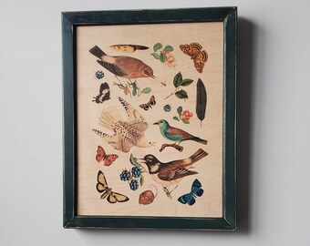 Vintage naturalist style framed art, reclaimed wood wall art, woodland nursery bird painting, entomology, botany botanical print, butterfly