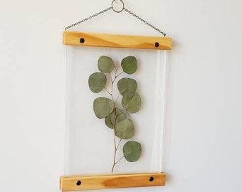 Eucalyptus leaves pressed flower frame, botanical print set, pressed flowers herbarium floating frame, pressed flower art