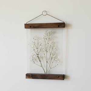 White Gypsophila pressed flower frame, botanical print set, pressed flowers herbarium floating frame, pressed flower art, nature decor image 1