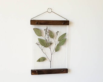 Eucalyptus leaves pressed flower frame, botanical print set, pressed flowers herbarium floating frame, pressed flower art