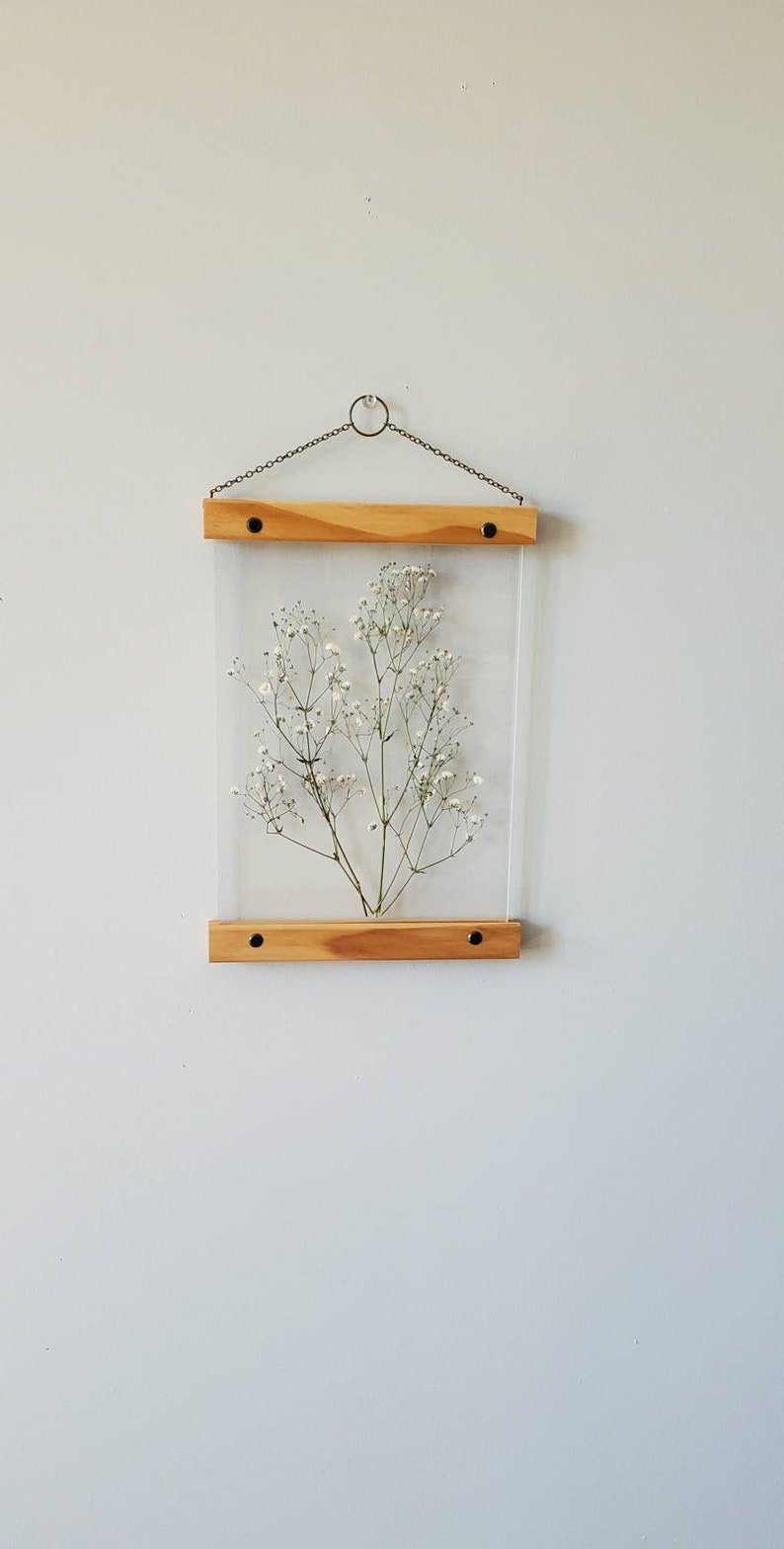 White Gypsophila pressed flower frame, botanical print set, pressed flowers herbarium floating frame, pressed flower art, nature decor image 9