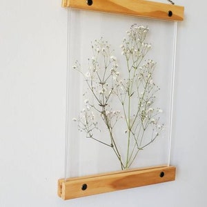 White Gypsophila pressed flower frame, botanical print set, pressed flowers herbarium floating frame, pressed flower art, nature decor image 5