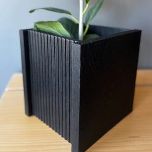 May include: A square, black wooden planter with vertical grooved detailing. The planter holds a green plant with large, veined leaves. The plant's stem is white. The planter is on a wooden surface.