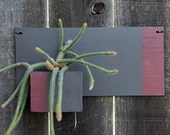 Wall Planter, Hanging Planter, Red Line Design