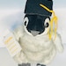 Graduation Penguin Plush With Cap and Diploma (6
