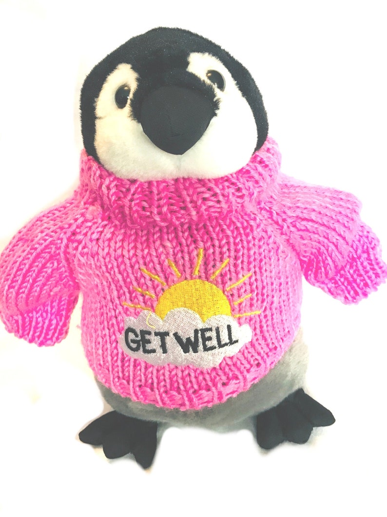 graduation penguin stuffed animal