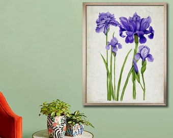 Iris, Wild Flowers, Floral Illustration, Botanical Illustration, wall print, wall decor, home decor, vintage botanical print, wall art