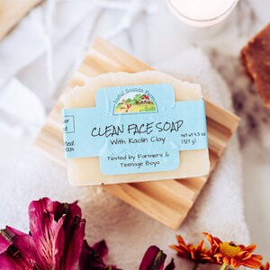 Handmade Soap, Soap Bar, Facial Cleanser, Christmas Gift for Mom,