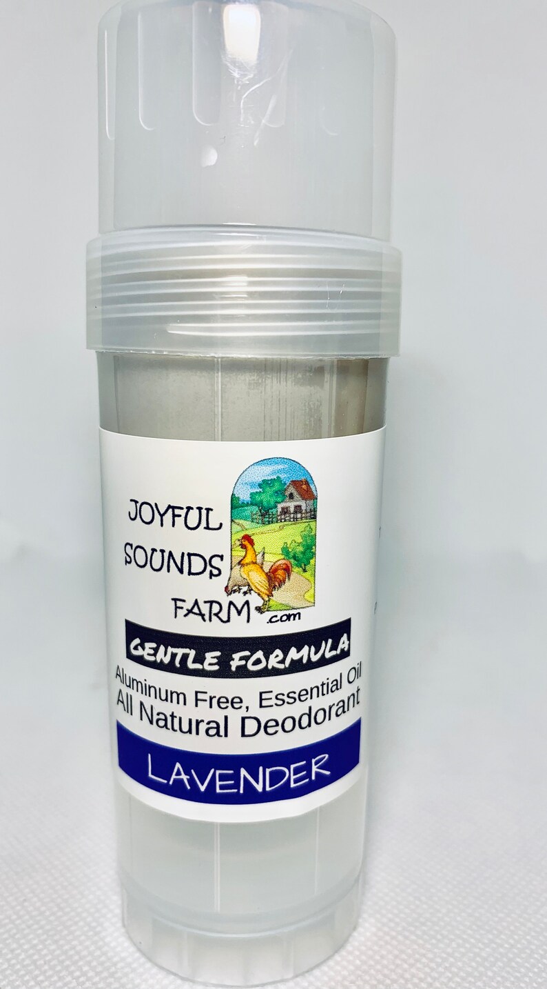 GENTLE FORMULA All Natural Solid Deodorant baking soda free Etsy
