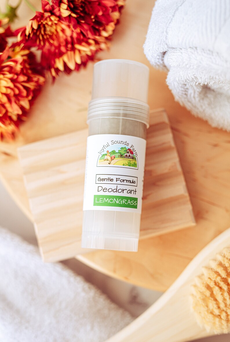 Natural Baking Soda Free Deodorant Aluminum Free Cornstarch Etsy