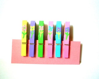 Painted Clothespins--Spring Flowers